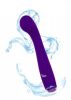 Devotion G-Spot Massager - Violet