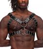 Gemini Leather Harness - One Size - Black