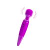 Power Wand Massager - Purple