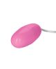 Pocket Exotics Pink Passion Bullet Vibrators