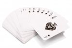 CalExotics Pillow Talk Card Game