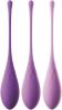 Fantasy For Her Kegel Train-Her Set Purple