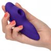 Lock N Play Remote Suction Panty Teaser