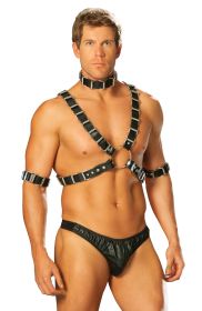 Elegant Moments 4 piece adjustable harness - L9663