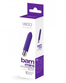 Bam Mini Rechargeable Bullet Vibe- Indigo
