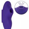 Lock N Play Remote Suction Panty Teaser